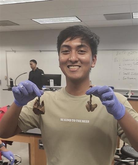 monday